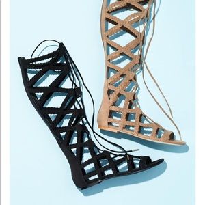 Black Steve Madden gladiator sandals!